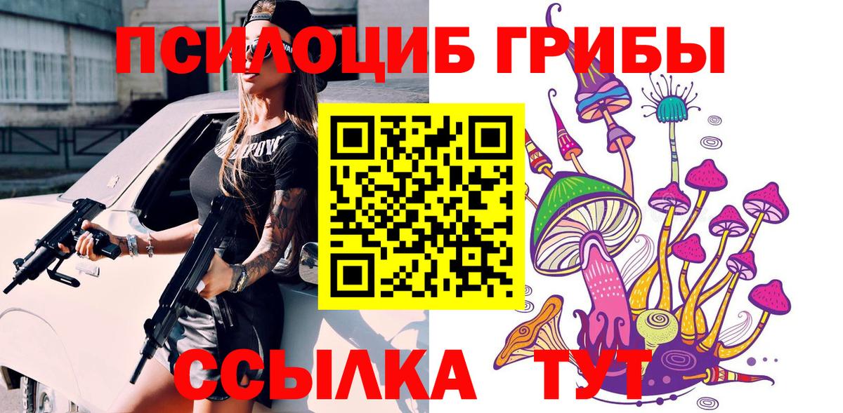 Псилоцибиновые грибы Psilocybine cubensis Соликамск